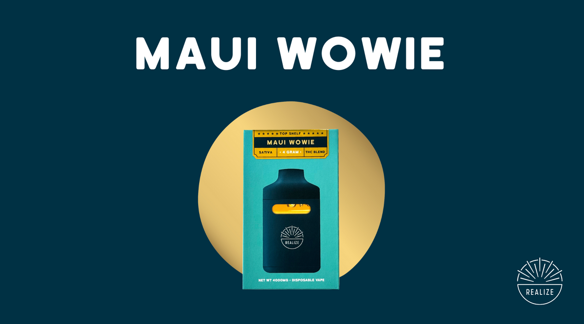 lost mary vape origin Lost Mary Hawaiian Popsicle Flavor Hawaii Juice Lost Mary MT15000 Turbo  Vape (Tuesday) main image 1