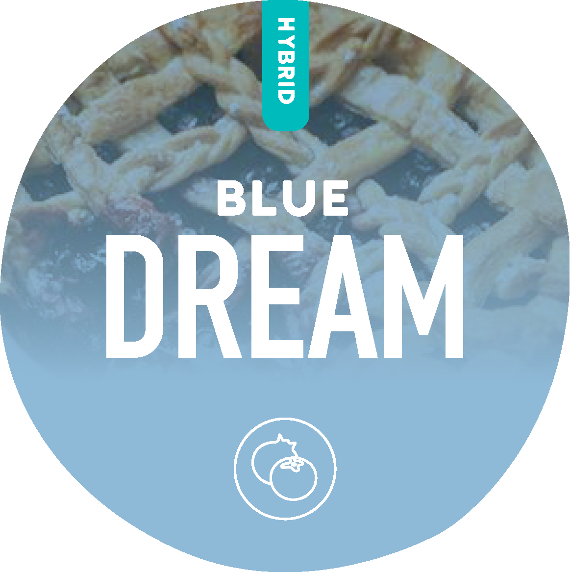 Blue Dream – Realize