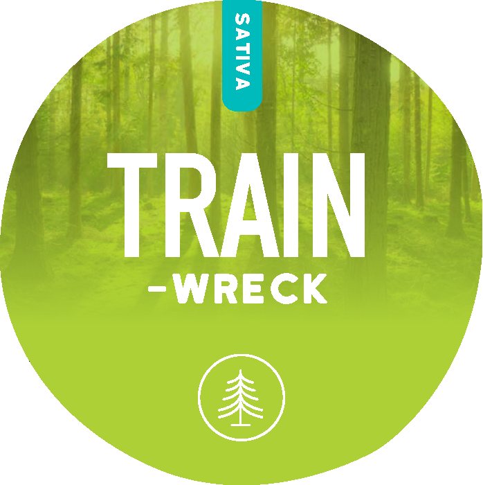 Trainwreck – Realize