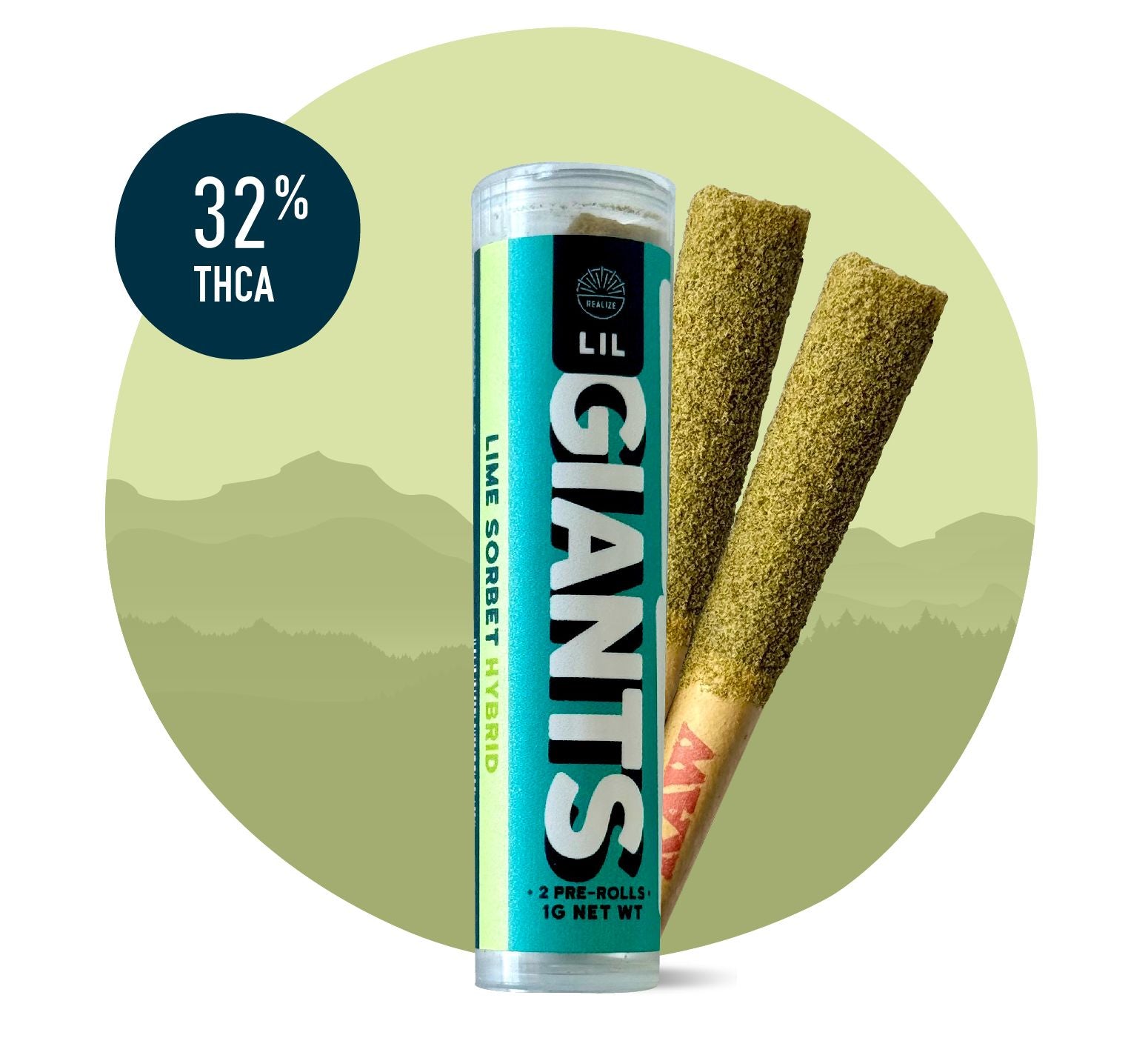 WhatsApp_Image_2025-06-