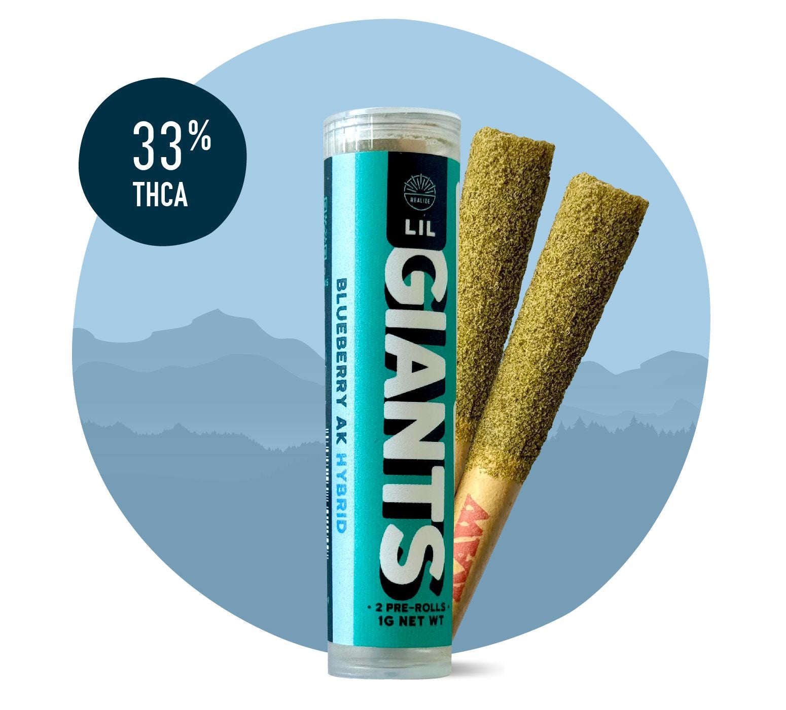 WhatsApp_Image_2025-06-