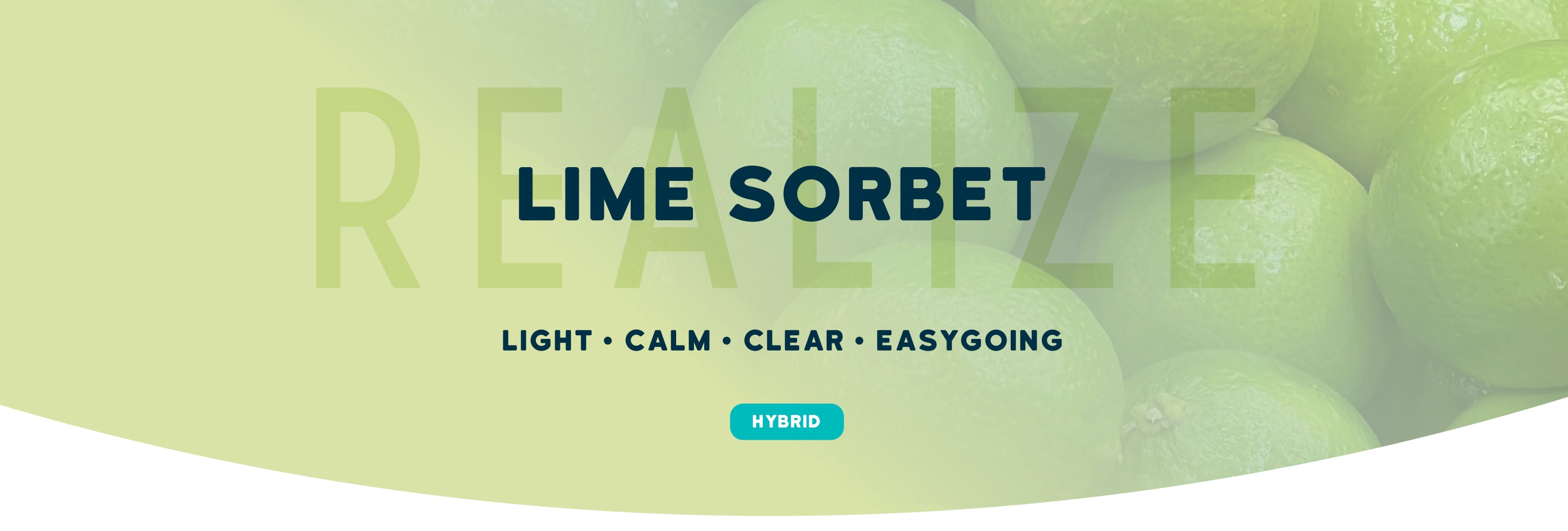 Lime Sorbet