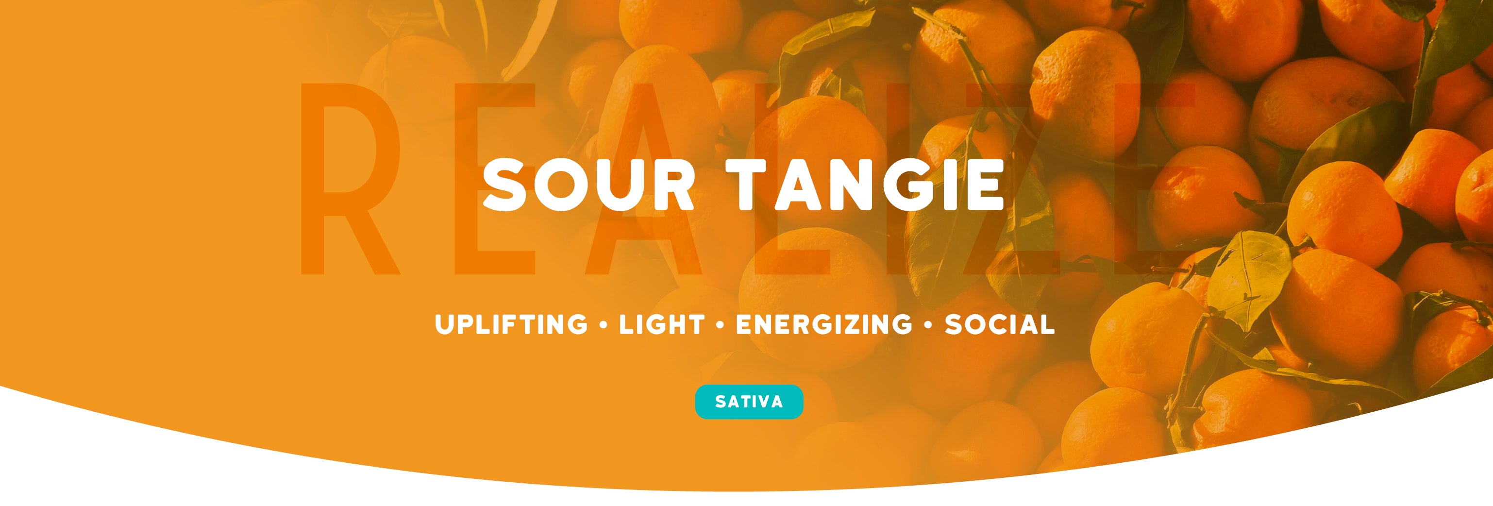 Sour Tangie