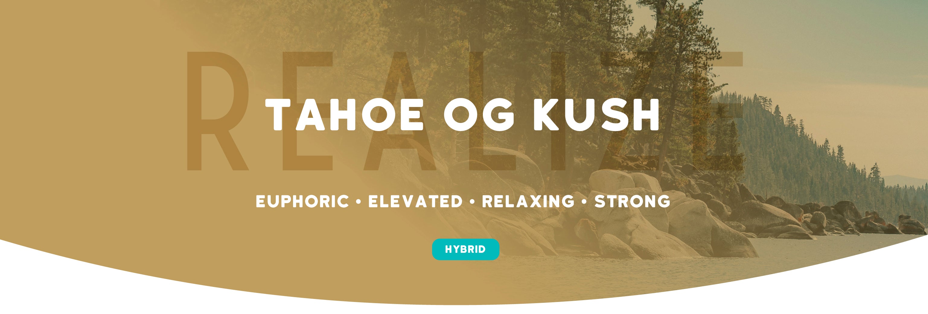 Tahoe OG Kush
