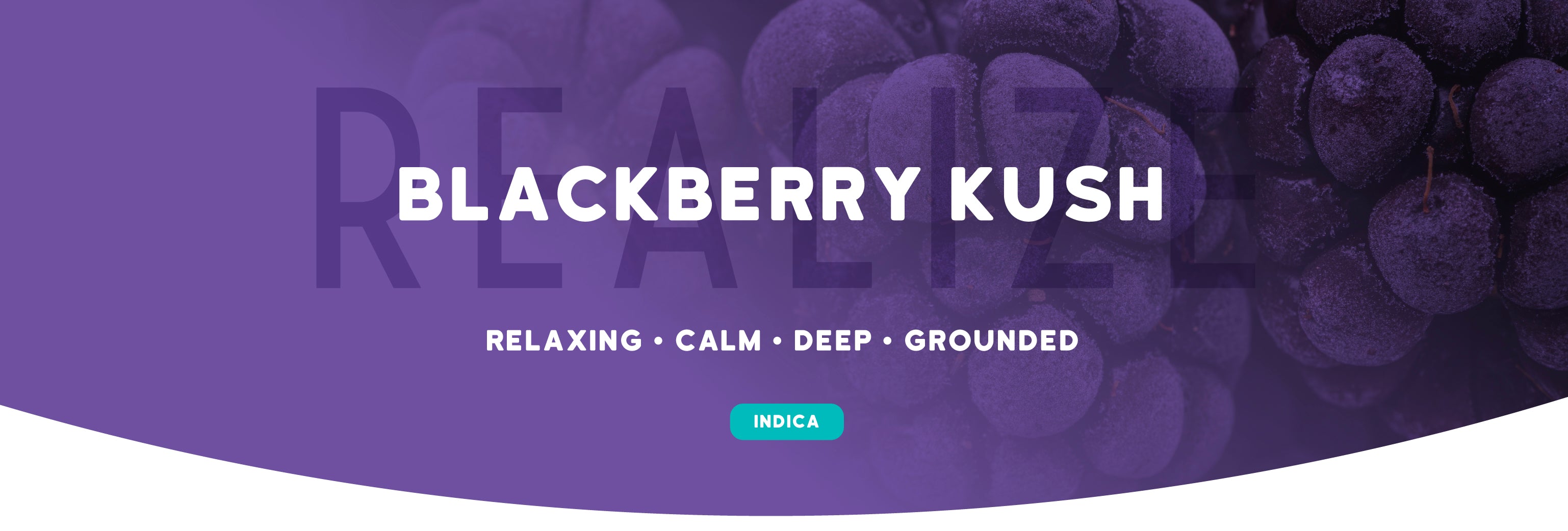 Blackberry Kush