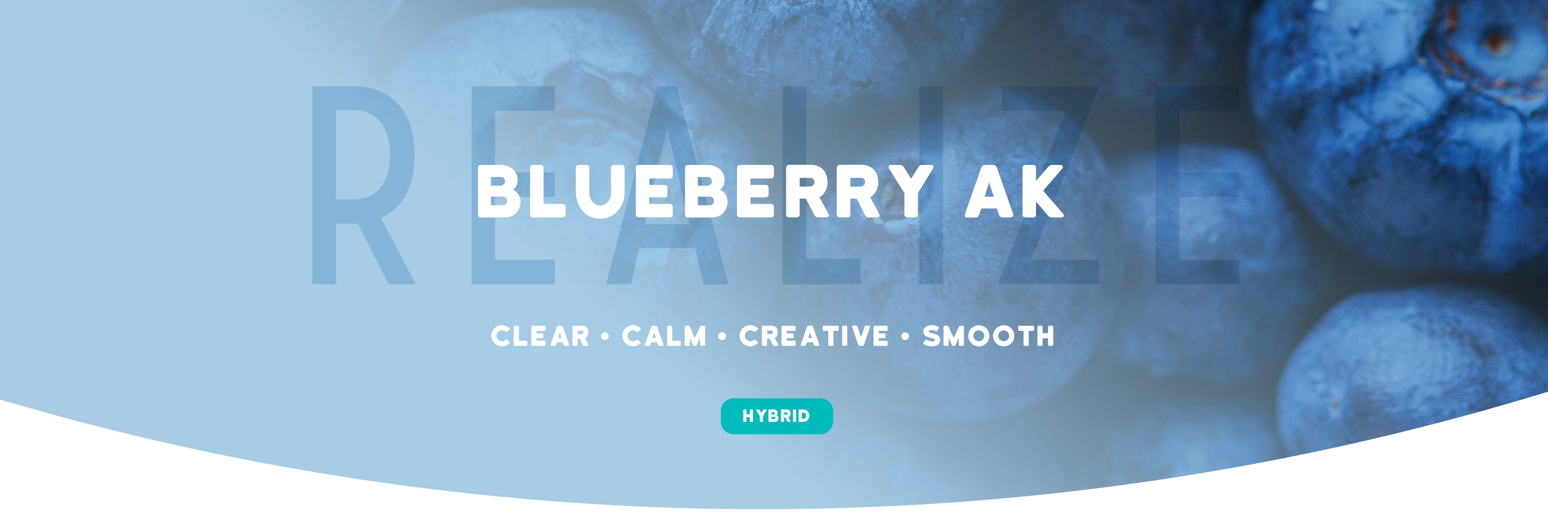 Blueberry AK