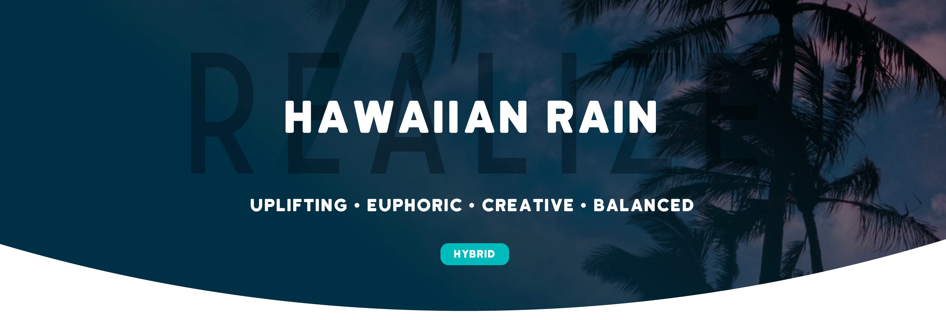 Hawaiian Rain