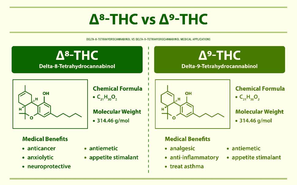 Delta-8 vs Delta-9: What Is the Difference?