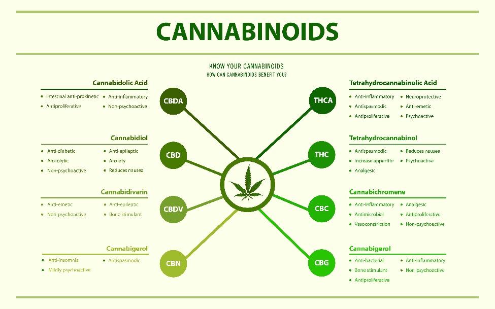 The Different Types of THC