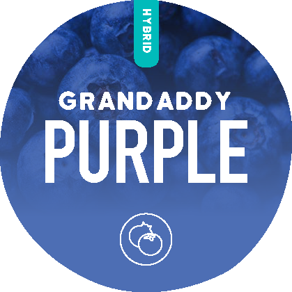 Grandaddy Purple