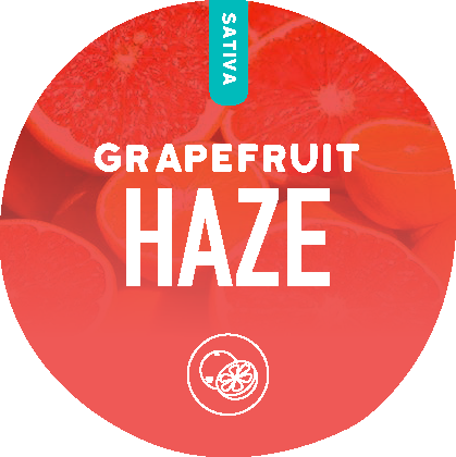Grapefruit Haze