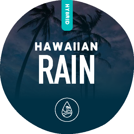 Hawaiian Rain