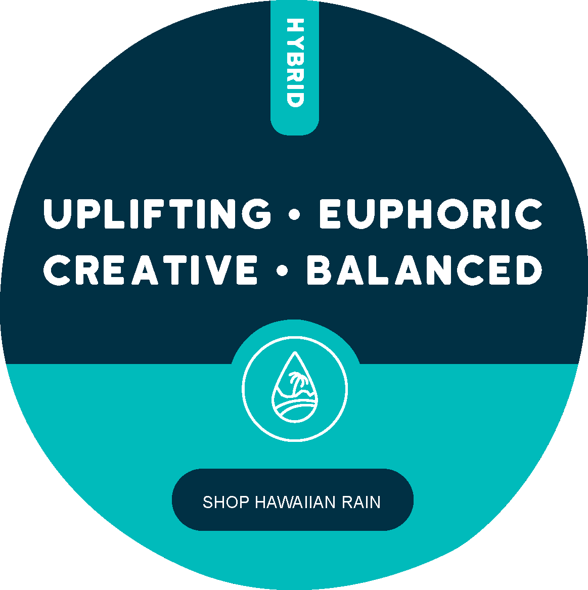 Hawaiian Rain
