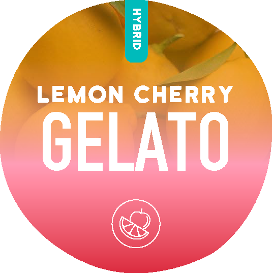 Lemon Cherry Gelato