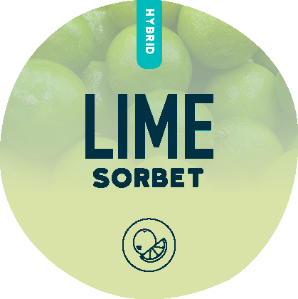 Lime Sorbet