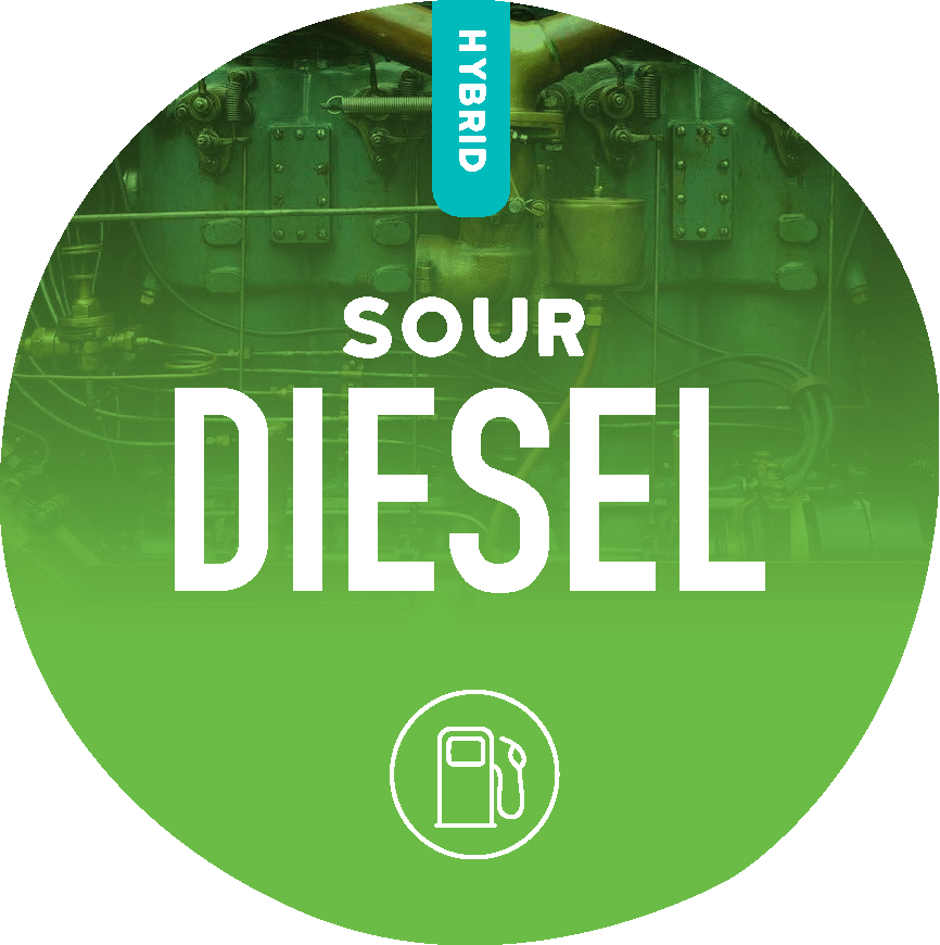Sour Diesel