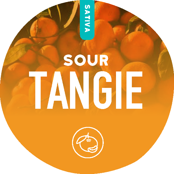 Sour Tangie