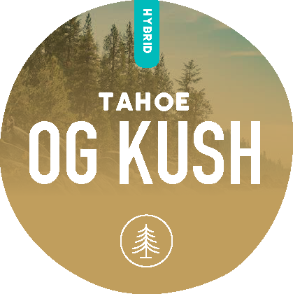 Tahoe OG Kush