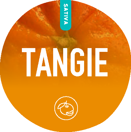 Tangie